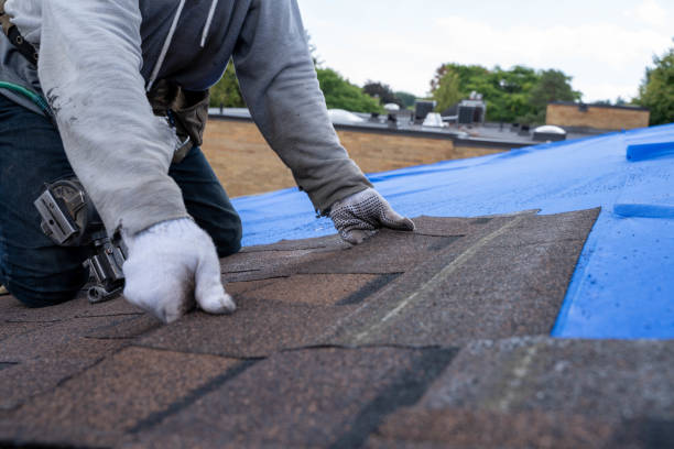 Best Metal Roofing Contractor  in Springfield, MI