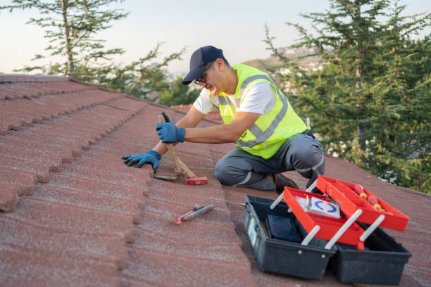 Best Flat Roof Repair Services  in Springfield, MI